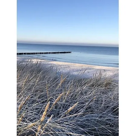 Miami * Zingst