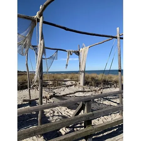 Miami Lägenhet Zingst